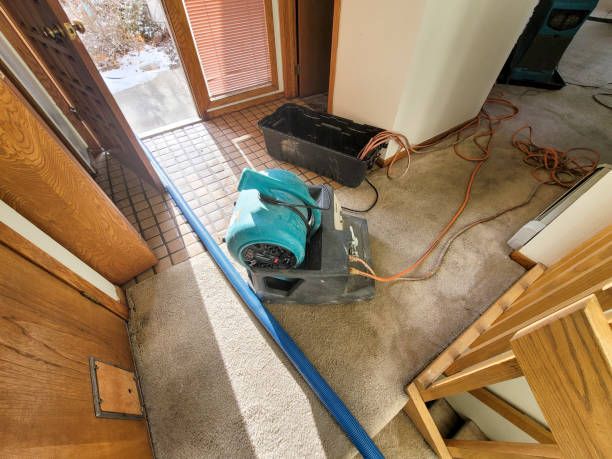 Best 24-hour water damage restoration  in Powell, TN
