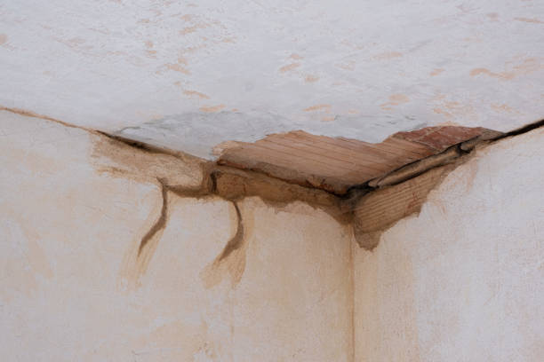 Best Water damage restoration near me  in Powell, TN