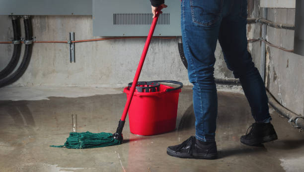 Best Water damage repair service  in Powell, TN