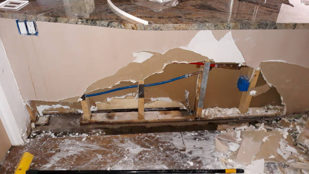 Best Flood damage cleanup  in Powell, TN