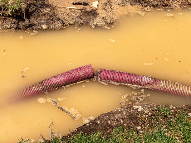 Best Water damage restoration near me  in Powell, TN