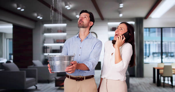 Best Water damage restoration specialists  in Powell, TN