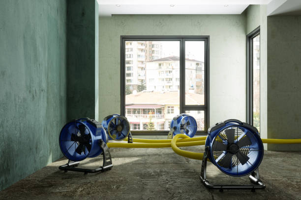 Best Water damage contractors near me  in Powell, TN