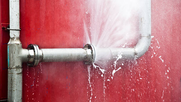 Best Flood restoration services  in Powell, TN